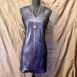 NWT- Banana Republic sequined dress